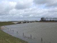 NL, Noord-Brabant, Altena, Japesloot 2, Saxifraga-Willem van Kruijsbergen