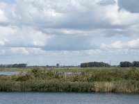 NL, Noord-Brabant, Altena, Polder Ganzewei 1, Saxifraga-Willem van Kruijsbergen