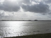 NL, Noord-Brabant, Altena, Polder Groote Muggenwaard 1, Saxifraga-Willem van Kruijsbergen