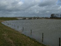 NL, Noord-Brabant, Altena, Polder Keizersguldenwaard 7, Saxifraga-Jan van der Straaten