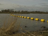 NL, Noord-Brabant, Altena, Polder Maltha 10, Saxifraga-Jan van der Straaten