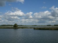 NL, Noord-Brabant, Altena, Polder Maltha 13, Saxifraga-Jan van der Straaten