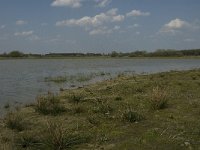 NL, Noord-Brabant, Baarle-Nassau, Castelreesche Heide 13, Saxifraga-Willem van Kruijsbergen