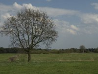 NL, Noord-Brabant, Baarle-Nassau, Castelreesche Heide 16, Saxifraga-Willem van Kruijsbergen