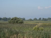 NL, Noord-Brabant, Drimmelen, Polder De Plomp 1, Saxifraga-Willem van Kruijsbergen