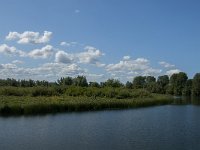 NL, Noord-Brabant, Drimmelen, Polder Lange Plaat 13, Saxifraga-Jan van der Straaten