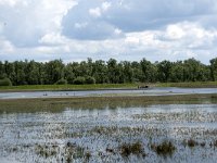 NL, Noord-Brabant, Drimmelen, Polder Lange Plaat 24, Saxifraga-Willem van Kruijsbergen