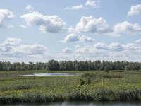 NL, Noord-Brabant, Drimmelen, Polder Lange Plaat 36, Saxifraga-Willem van Kruijsbergen