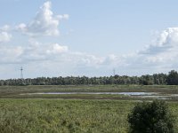 NL, Noord-Brabant, Drimmelen, Polder Lange Plaat 40, Saxifraga-Willem van Kruijsbergen