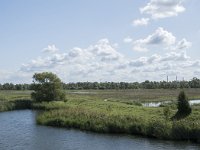 NL, Noord-Brabant, Drimmelen, Polder Lange Plaat 45, Saxifraga-Willem van Kruijsbergen