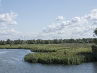 NL, Noord-Brabant, Drimmelen, Polder Lange Plaat 46, Saxifraga-Willem van Kruijsbergen