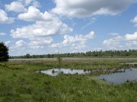 NL, Noord-Brabant, Drimmelen, Polder Lepelaar 1, Saxifraga-Willem van Kruijsbergen