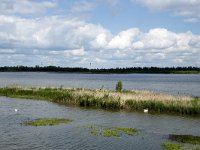 NL, Noord-Brabant, Drimmelen, Polder Lepelaar 3, Saxifraga-Willem van Kruijsbergen