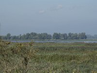 NL, Noord-Brabant, Drimmelen, Polder Moordplaat 2, Saxifraga-Willem van Kruijsbergen