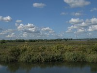 NL, Noord-Brabant, Drimmelen, Polder Moordplaat 3, Saxifraga-Jan van der Straaten