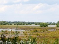 NL, Noord-Brabant, Drimmelen, Polder Turfzakken 1, Saxifraga-Bart Vastenhouw