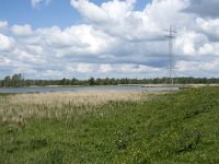 NL, Noord-Brabant, Drimmelen, Polder Turfzakken 7, Saxifraga-Willem van Kruijsbergen