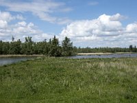 NL, Noord-Brabant, Drimmelen, Polder Turfzakken 8, Saxifraga-Willem van Kruijsbergen