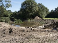 NL, Noord-Brabant, Goirle, Landgoed De Hoevens 35, Saxifraga-Willem van Kruijsbergen