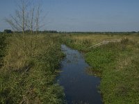 NL, Noord-Brabant, Hilvarenbeek, Reusel 2, Saxifraga-Jan van der Straaten