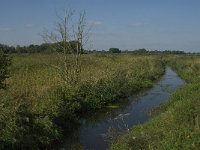 NL, Noord-Brabant, Hilvarenbeek, Reusel 3, Saxifraga-Jan van der Straaten