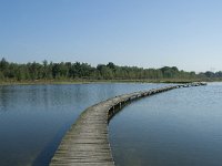 NL, Noord-Brabant, Loon op Zand, Huis ter Heide 18, Saxifraga-Willem van Kruijsbergen