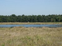 NL, Noord-Brabant, Loon op Zand, Huis ter Heide 21, Saxifraga-Willem van Kruijsbergen