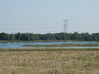 NL, Noord-Brabant, Loon op Zand, Huis ter Heide 24, Saxifraga-Willem van Kruijsbergen