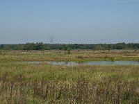 NL, Noord-Brabant, Loon op Zand, Huis ter Heide 26, Saxifraga-Willem van Kruijsbergen