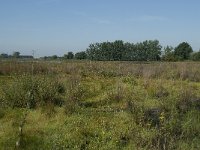 NL, Noord-Brabant, Loon op Zand, Huis ter Heide 9, Saxifraga-Willem van Kruijsbergen