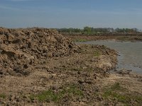 NL, Noord-Brabant, Lith, Hemelrijksche Waard 7, Saxifraga-Jan van der Straaten