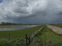 NL, Noord-Brabant, Lith, Marense eendenkooi 6, Saxifraga-Jan van der Straaten