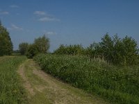 NL, Noord-Brabant, Oisterwijk, Den Opslag 17, Saxifraga-Jan van der Straaten