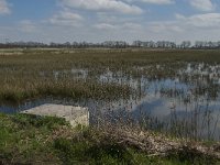 NL, Noord-Brabant, Oisterwijk, Gementsdijk 10, Saxifraga-Jan van der Straaten