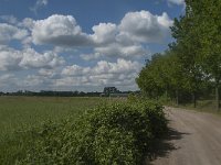 NL, Noord-Brabant, Oisterwijk, Helsbroek 13, Saxifraga-Jan van der Straaten