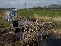 NL, Noord-Brabant, Oisterwijk, Kasteeldreef 3, Saxifraga-Jan van der Straaten