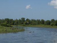 NL, Noord-Brabant, Steenbergen, Botkreek 1, Saxifraga-Jan van der Straaten