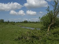 NL, Noord-Brabant, Steenbergen, Dintelse Gorzen 32, Saxifraga-Jan van der Straaten