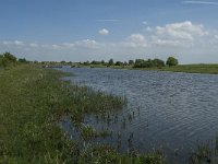 NL, Noord-Brabant, Steenbergen, Dintelse Gorzen 35, Saxifraga-Jan van der Straaten