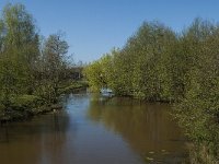 NL, Noord-Brabant, Tilburg, Donge 4, Saxifraga-Jan van der Straaten