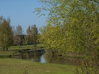 NL, Noord-Brabant, Tilburg, Donge 7, Saxifraga-Jan van der Straaten