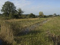 NL, Noord-Brabant, Waalwijk, Labbegat 10, Saxifraga-Jan van der Straaten