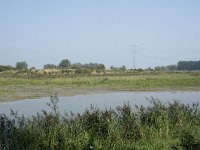 NL, Zuid-Holland, Dordrecht, Polder Kort- en Lang Ambacht 10, Saxifraga-Willem van Kruijsbergen