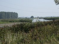 NL, Zuid-Holland, Dordrecht, Polder Kort- en Lang Ambacht 7, Saxifraga-Willem van Kruijsbergen