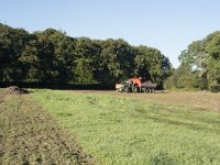 NL, Noord-Brabant, Goirle, Landgoed De Hoevens 29, Saxifraga-Willem van Kruijsbergen