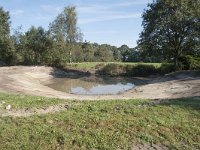 NL, Noord-Brabant, Goirle, Landgoed De Hoevens 91, Saxifraga-Willem van Kruijsbergen