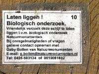 NL, Limburg, Weert, Tungelerwallen 22, Saxifraga-Jan van der Straaten