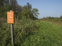 NL, Noord-Brabant, Werkendam, Kornsche Boezem 1, Saxifraga-Jan van der Straaten