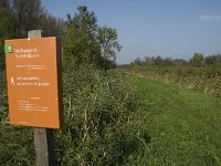 NL, Noord-Brabant, Werkendam, Kornsche Boezem 2, Saxifraga-Jan van der Straaten