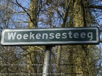 NL, Noord-Brabant, Oirschot, Heerenbeek 40, Saxifraga-Jan van der Straaten